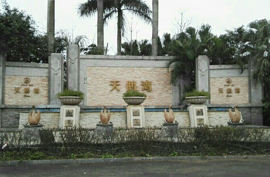 1558573336913564.png 圖層 15.png