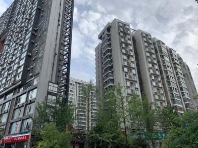 貴州省黔東南雷山項目安置房蝴蝶苑小區(qū)